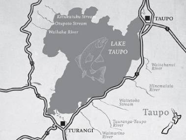 mapTaupo