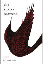 TheSpacesBetween