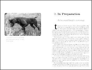 Wildsouthspread2